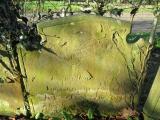 image of grave number 613150